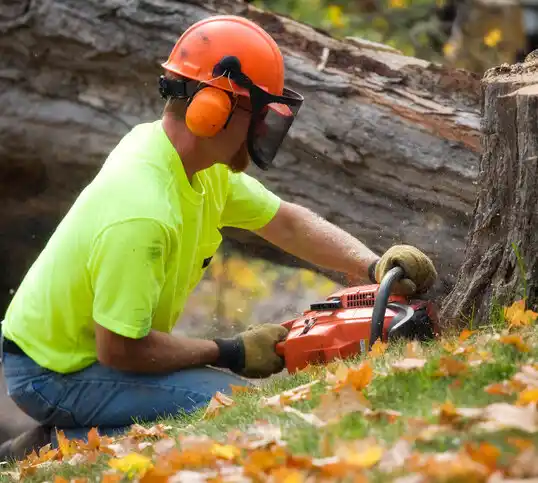 tree services Karlstad